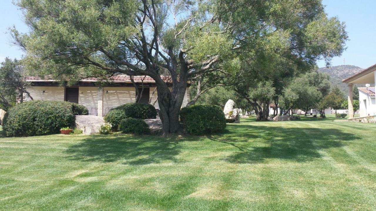 B&B Majore Olbia Eksteriør billede