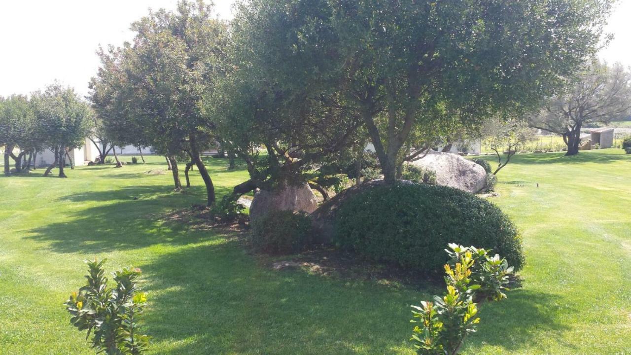 B&B Majore Olbia Eksteriør billede