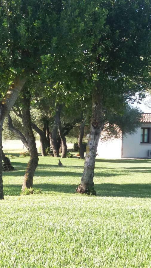 B&B Majore Olbia Eksteriør billede