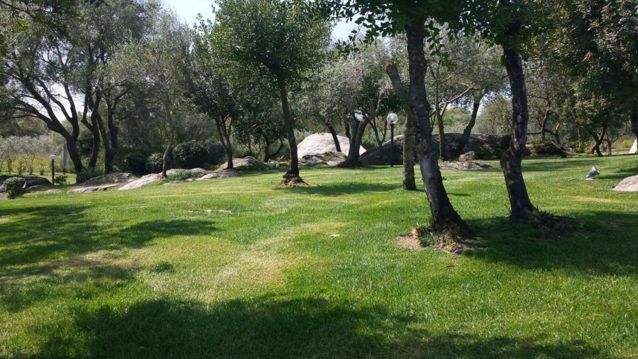 B&B Majore Olbia Eksteriør billede